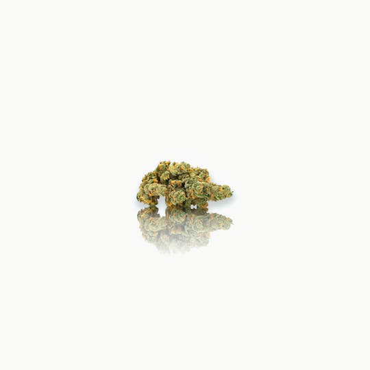 CAM - CAM | Super Silver Haze (1g) - 1
