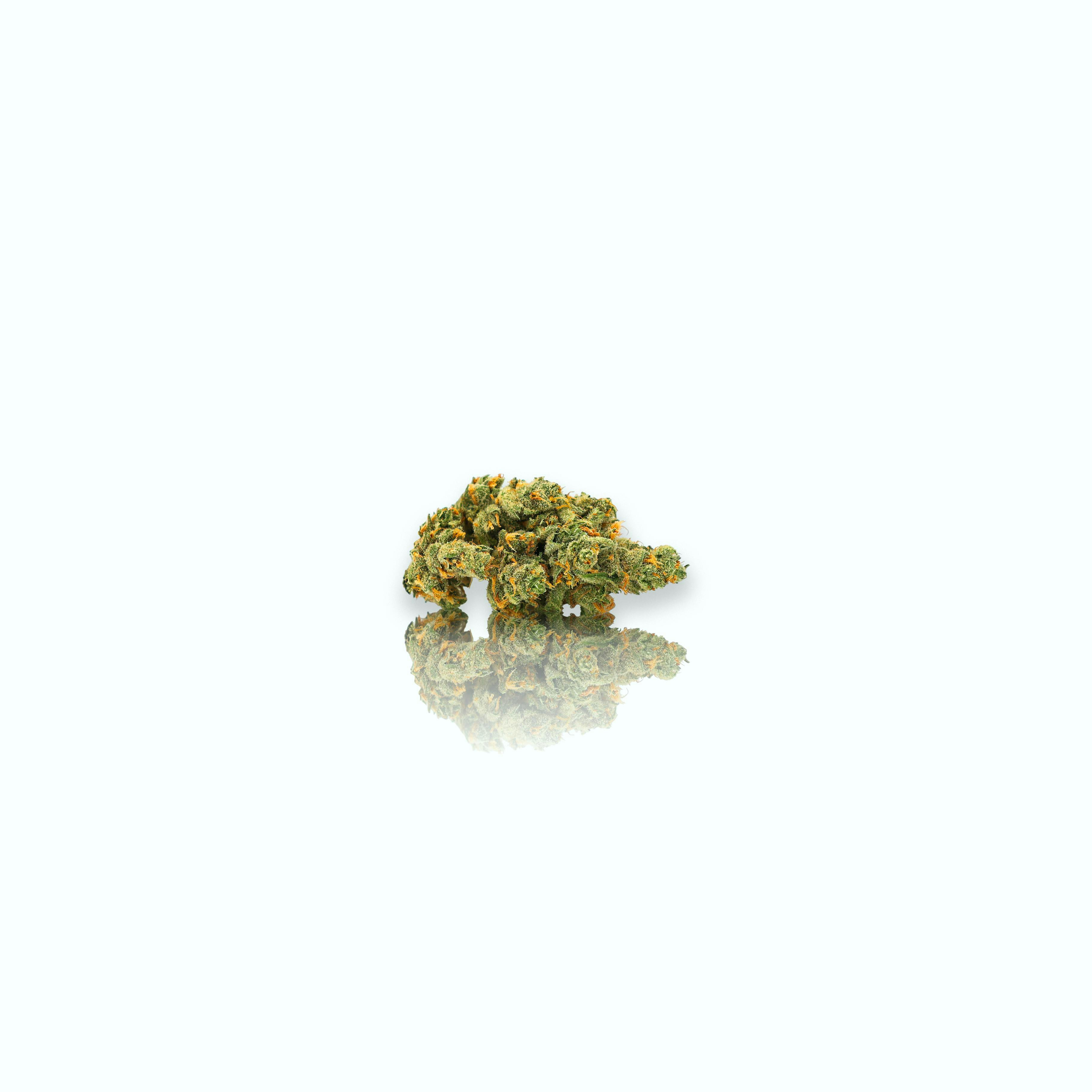CAM - CAM | Super Silver Haze | Big Buds | 1g - 1