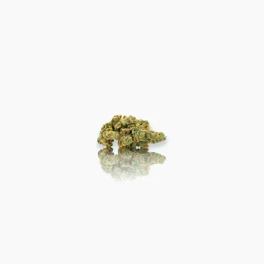 CAM - CAM | Super Silver Haze | Big Buds | 1g - 1