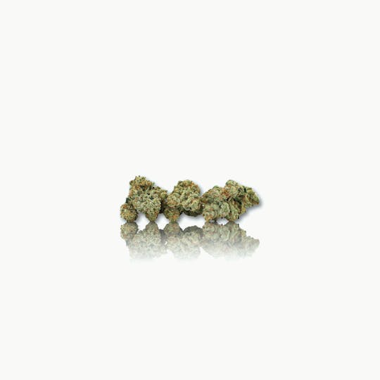 CAM - CAM | Tahoe OG (1g) - 1