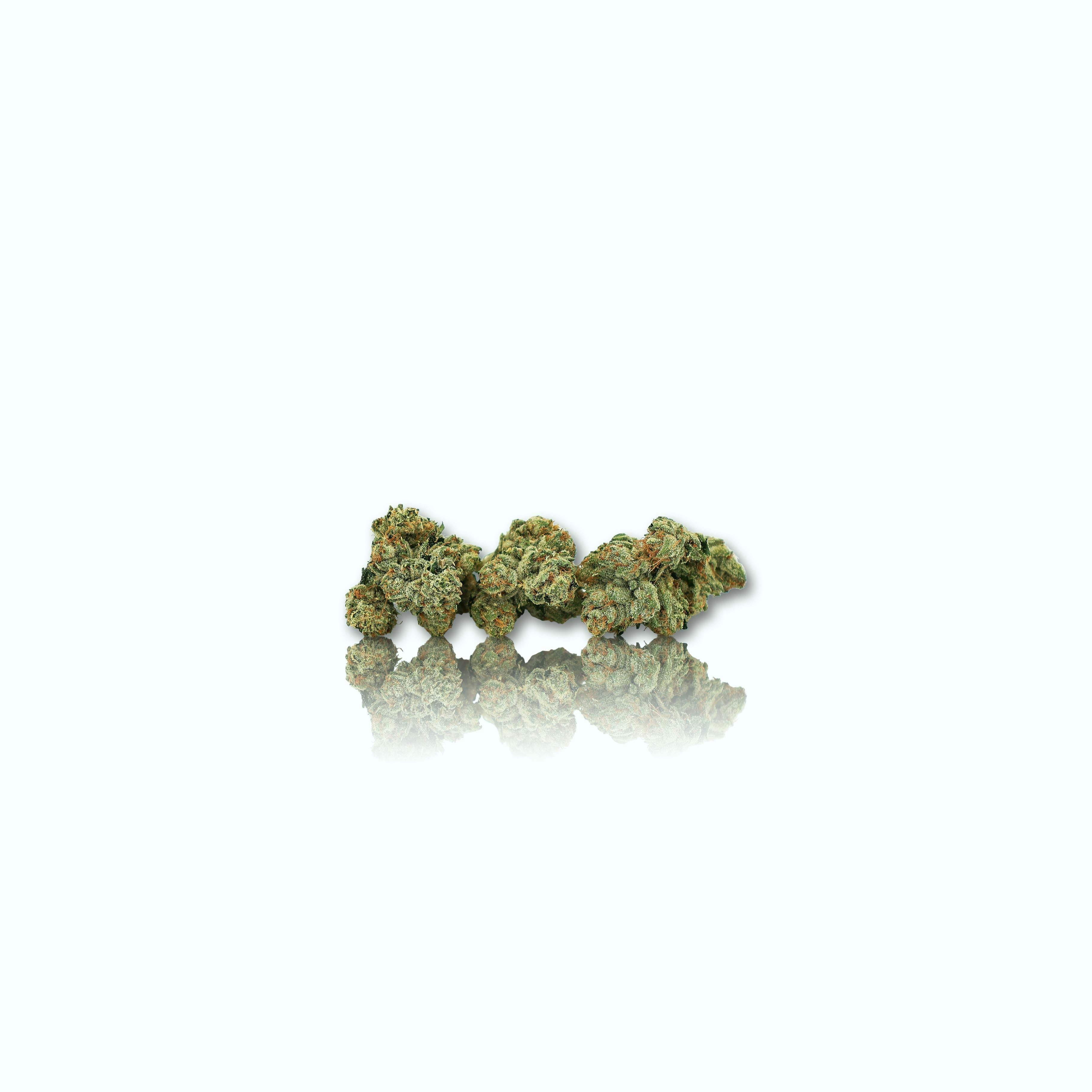 CAM - CAM | Tahoe OG | Big Buds | 1g - 1