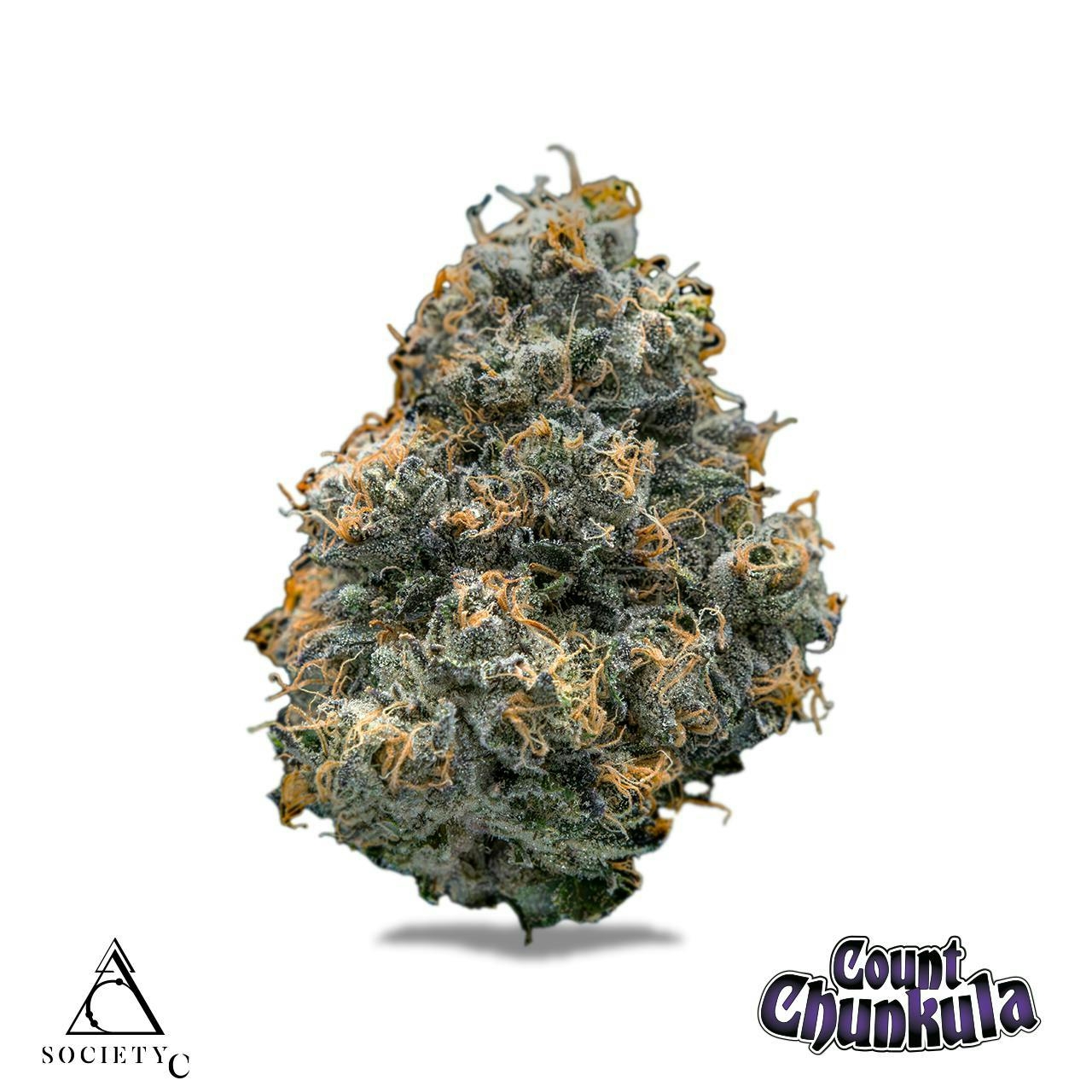 Society C - Society C | Count Chunkula - 1