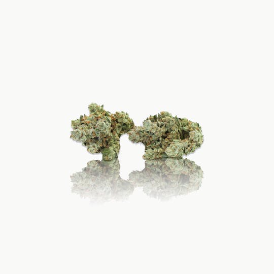 CAM - CAM | Super Glue (1g) - 1