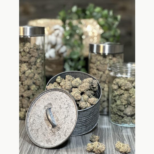 Primal Cannabis - Banana Cream Cake Indoor Flower 1/4lb (26.2%) (1.88% Terps) - 1