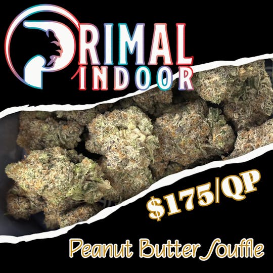 Primal Cannabis - Peanut Butter Souffle (16.9% THC) (1.63% Terps) - 1