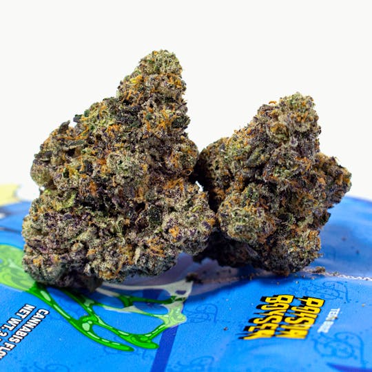 TEDS BUDZ - Poison Boysen - 1