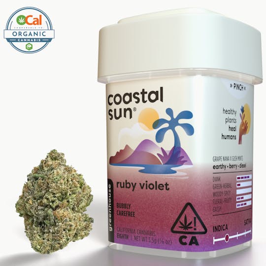 Coastal Sun - Ruby Violet Greenhouse Flower 3.5g - 1