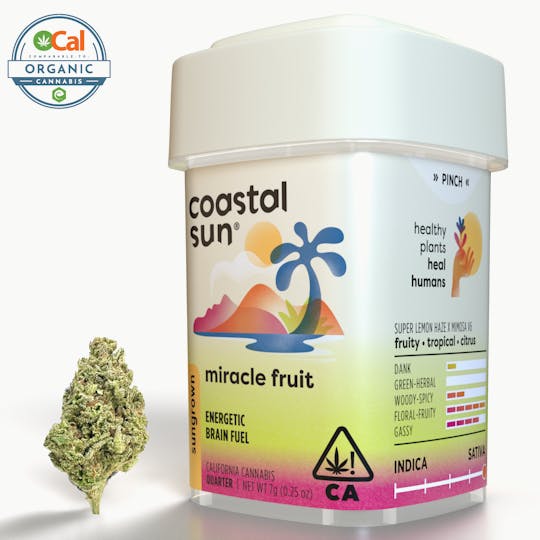 Coastal Sun - Miracle Fruit Sungrown Flower 7g - 1