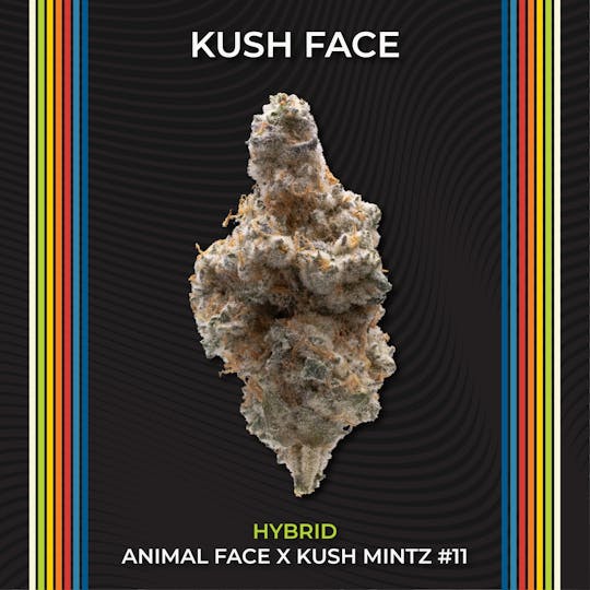 Certified Cultivators - Kush Face #1 - Smalls | Flower | 14.15g - 1