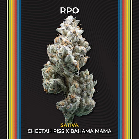 Certified Cultivators - RPO #3 | Flower | 2.83g - 1
