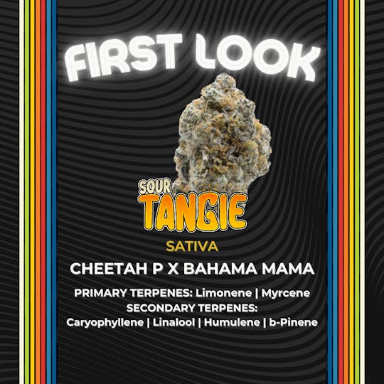 Certified Cultivators - Sour Tangie | Flower | 14.15g - 1