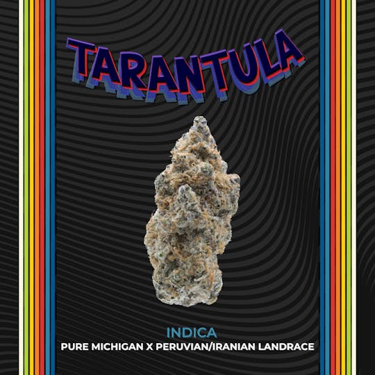 Certified Cultivators - Tarantula | Flower | 2.83g - 1