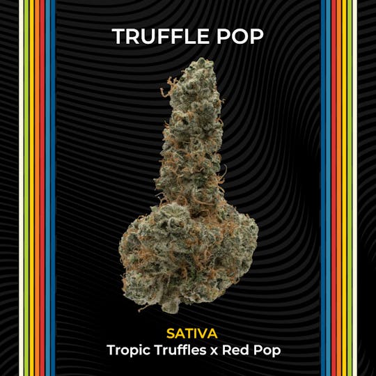 Certified Cultivators - Truffle Pop | Flower | 2.83g - 1