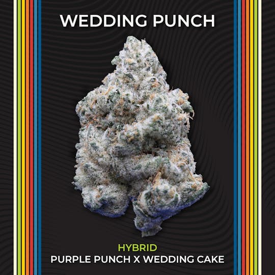Certified Cultivators - Wedding Punch | Flower | 14.15g - 1