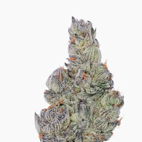 Fig Farms - Fig Farms | Figment Cookies | Big Buds - 1