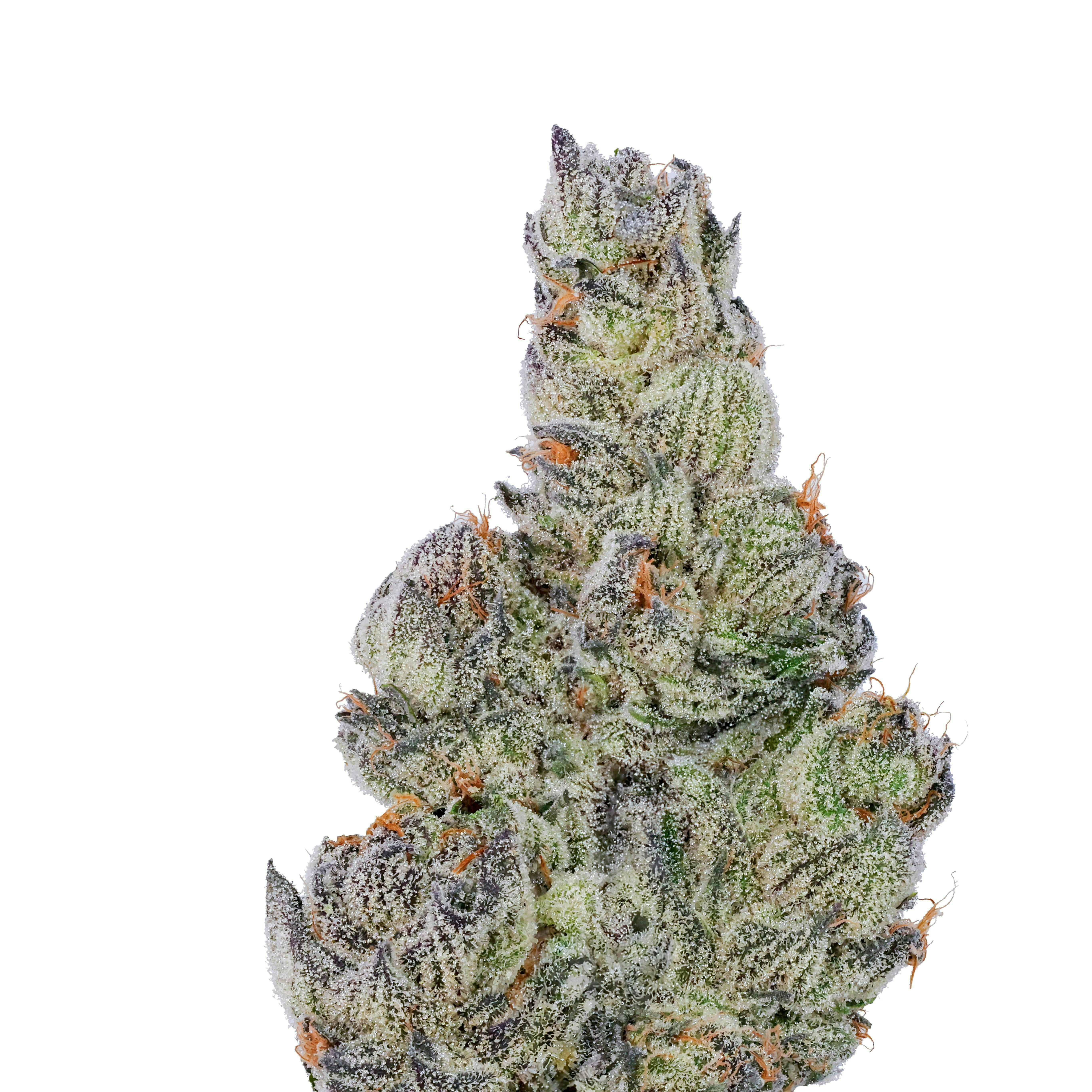 Fig Farms - Fig Farms | Kronuts | Big Buds - 1