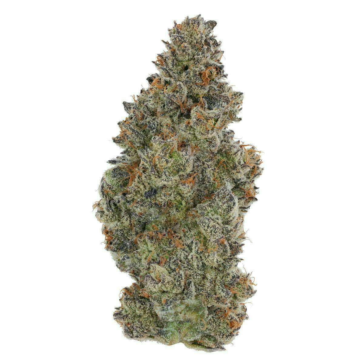 Fig Farms - Fig Farms | Animal Runtz | Big Buds - 1
