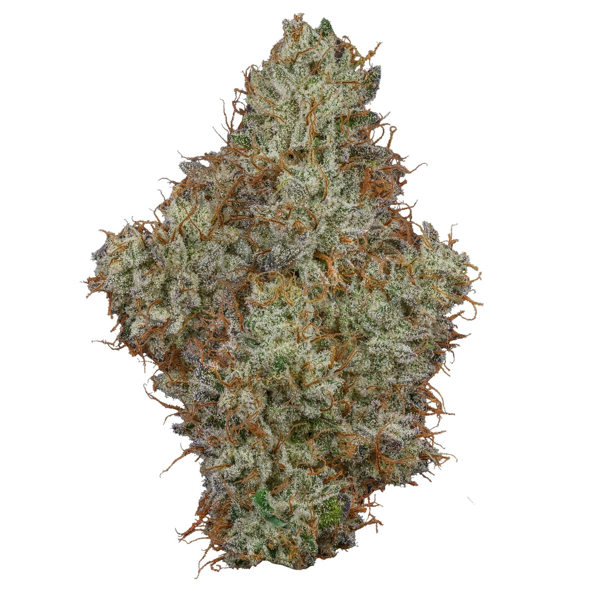 Fig Farms - Fig Farms | Animal Runtz | Big Buds - 1