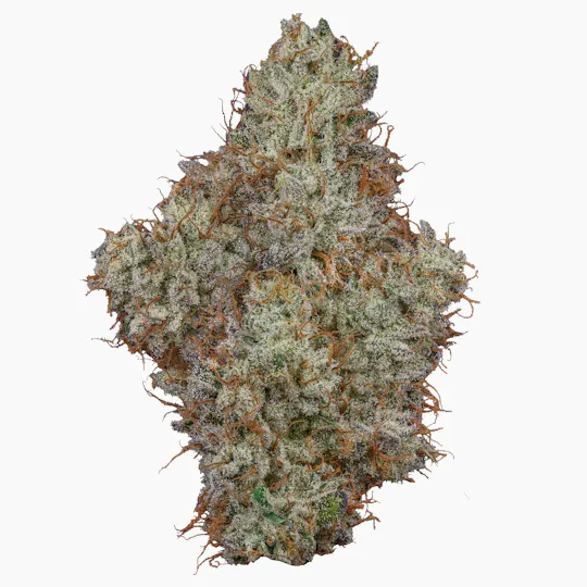 Fig Farms - Fig Farms | Animal Runtz | Big Buds - 1