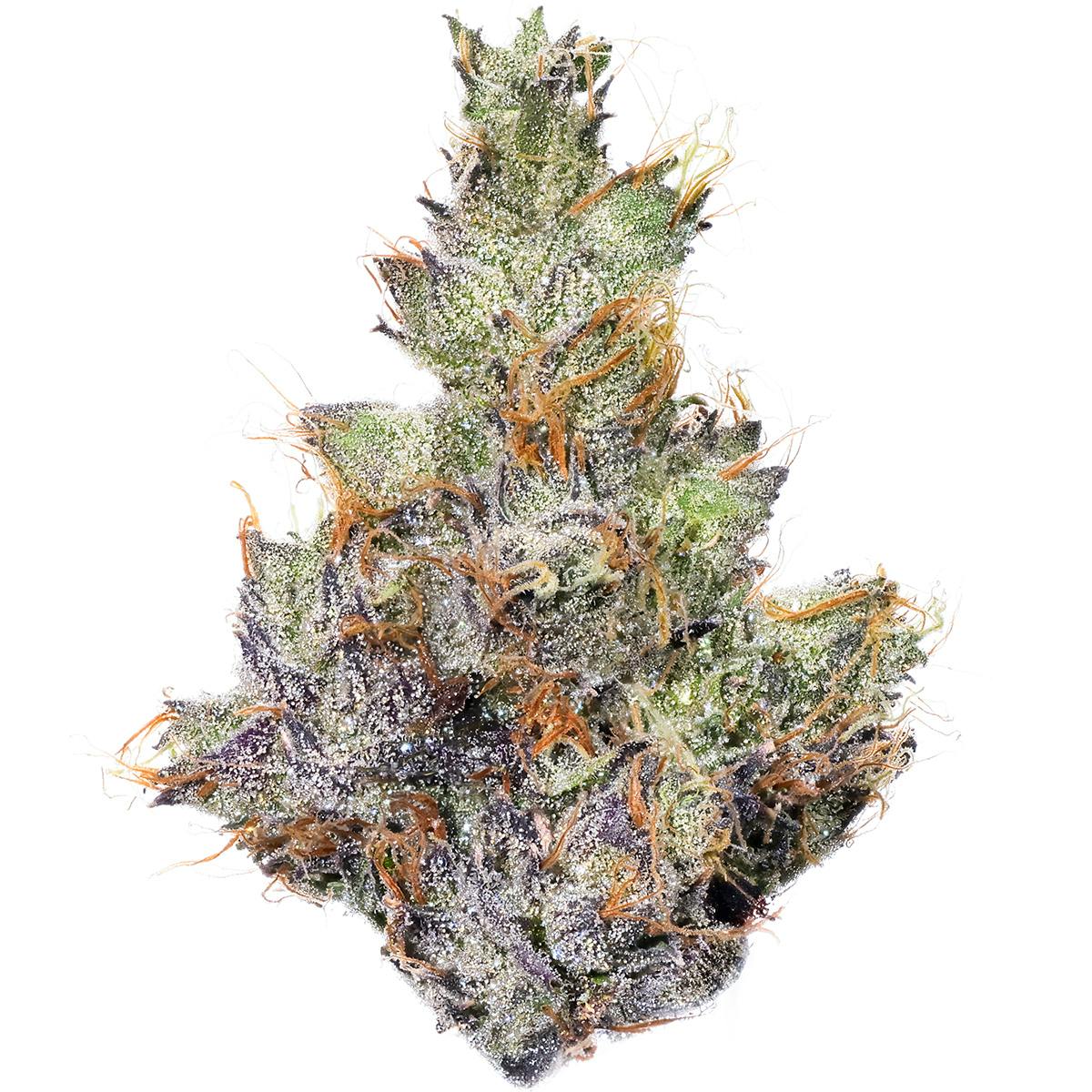 Fig Farms - Chems & Cherry - 1