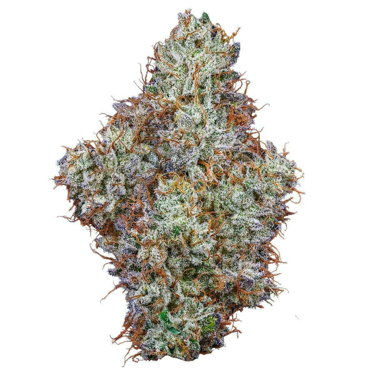 Fig Farms - Fig Farms | Chems & Cherry | Big Buds - 1