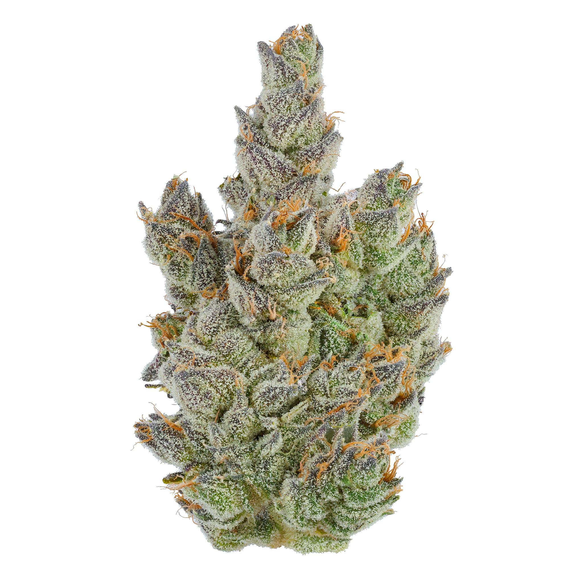Fig Farms - Fig Farms | Moonana Chronic | Big Buds | 3.5g - 1
