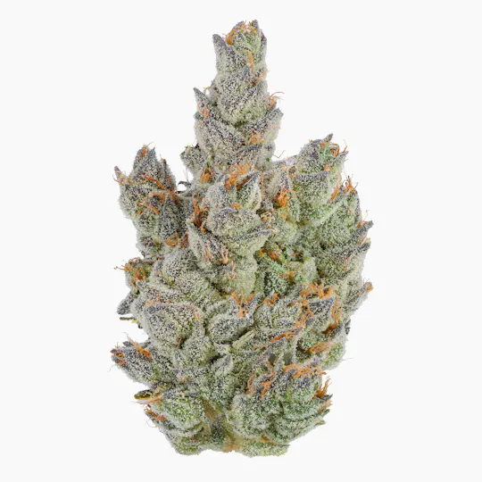 Fig Farms - Fig Farms | Moonana Chronic | Big Buds | 3.5g - 1