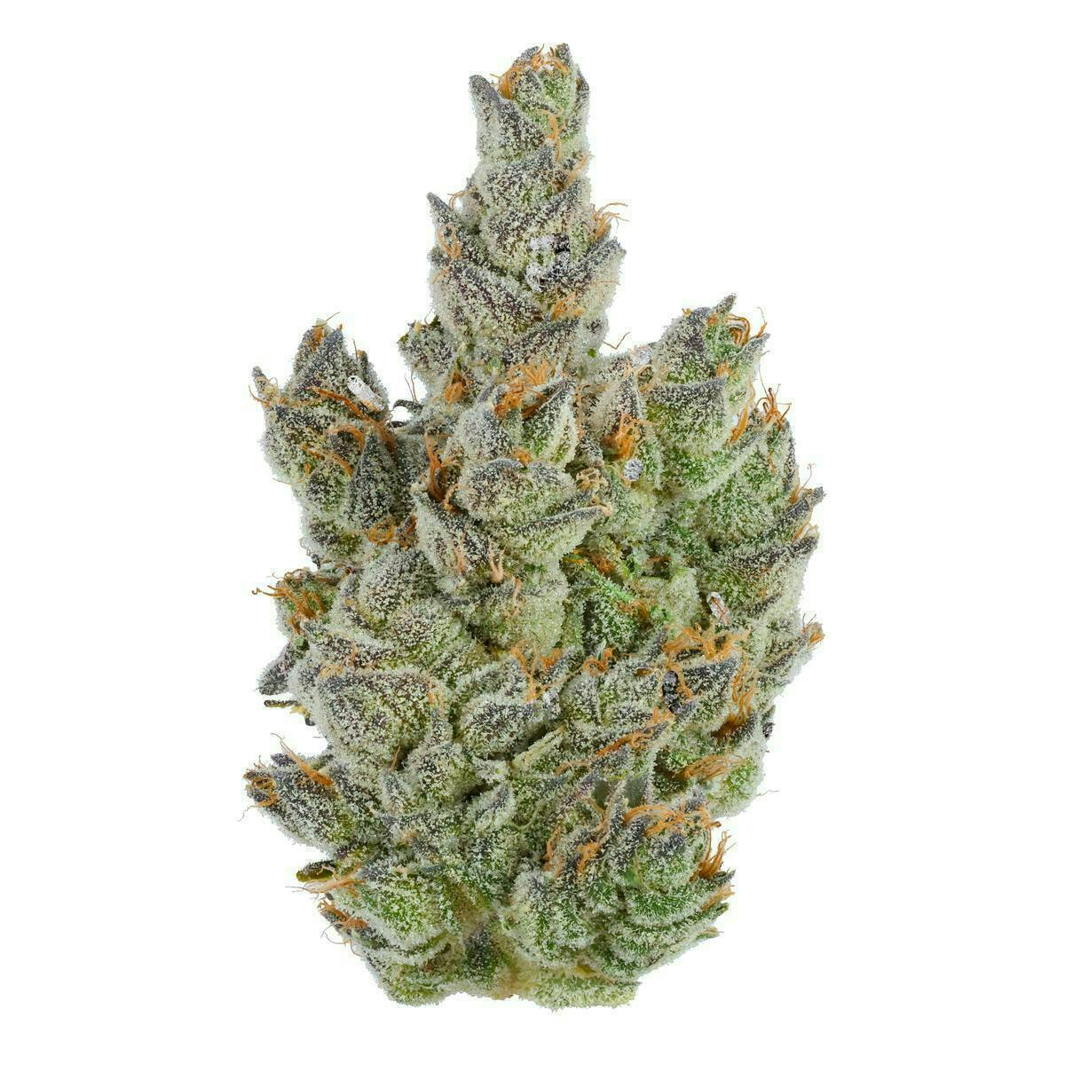 Fig Farms - Fig Farms | Peach Wreck | Big Buds | 3.5g - 1