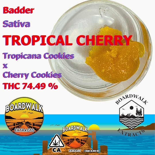 Boardwalk Extracts - Badder | Tropical Cherry - 1