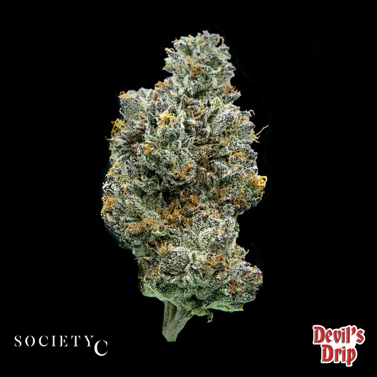 Society C - Society C | Devil's Drip | Smalls | 28g - 1