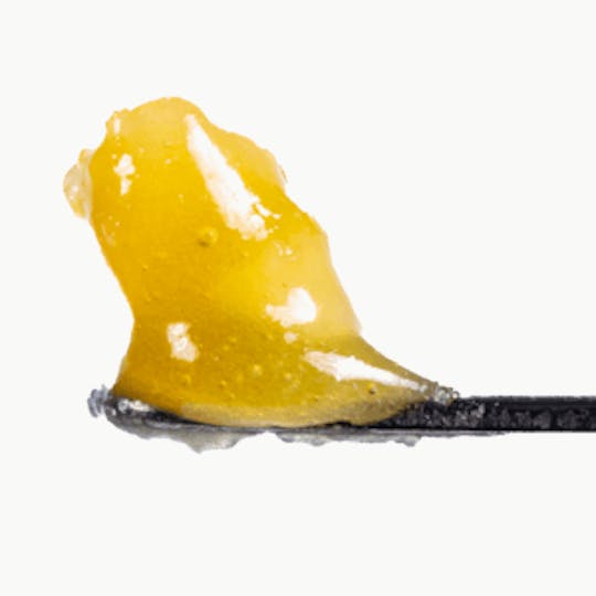 West Coast Cure - Garlic Juice Sunny Side Up - Bhomb Line - 1
