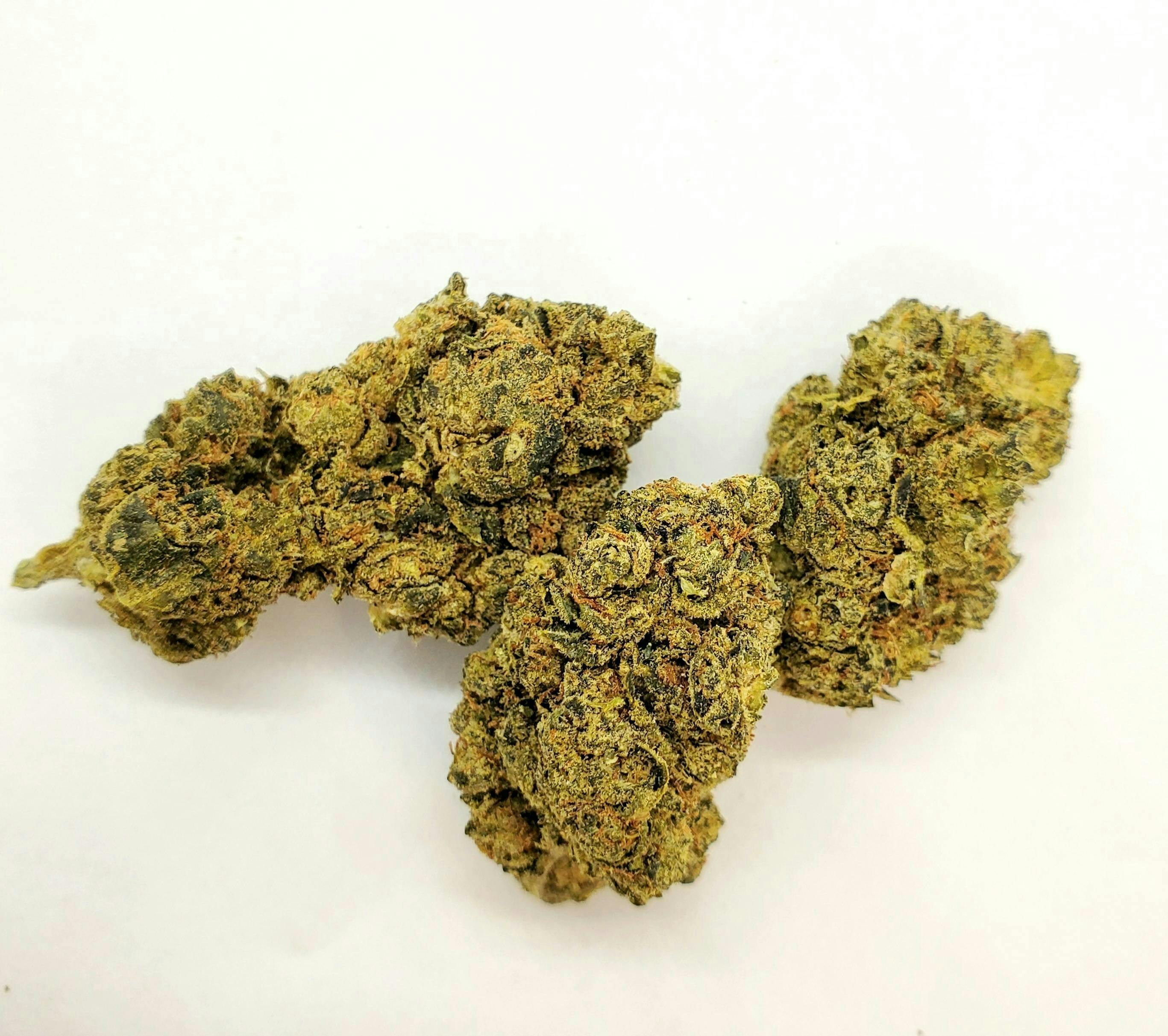 AREA 626 - Area 626 | Yeti OG | Big Buds | 28g - 1