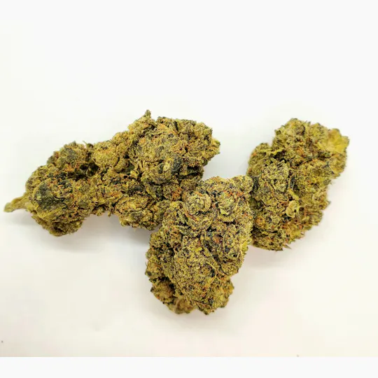 AREA 626 - Area 626 | Yeti OG | Big Buds | 28g - 1