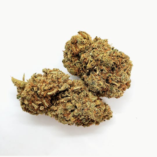 AREA 626 - AREA 626 - Master Kush 28g - 1