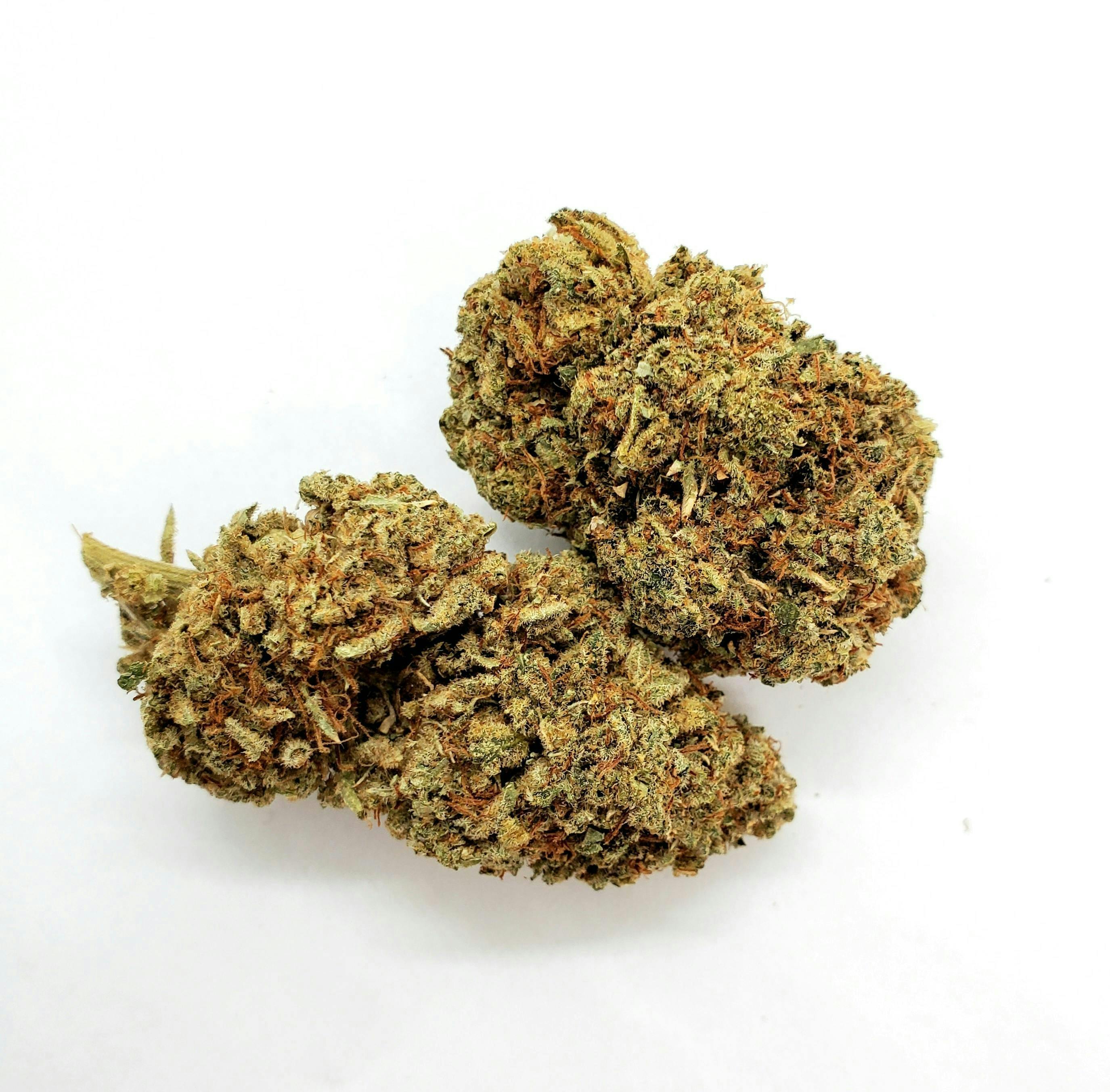 AREA 626 - Area 626 | Master Kush | Big Buds | 28g - 1