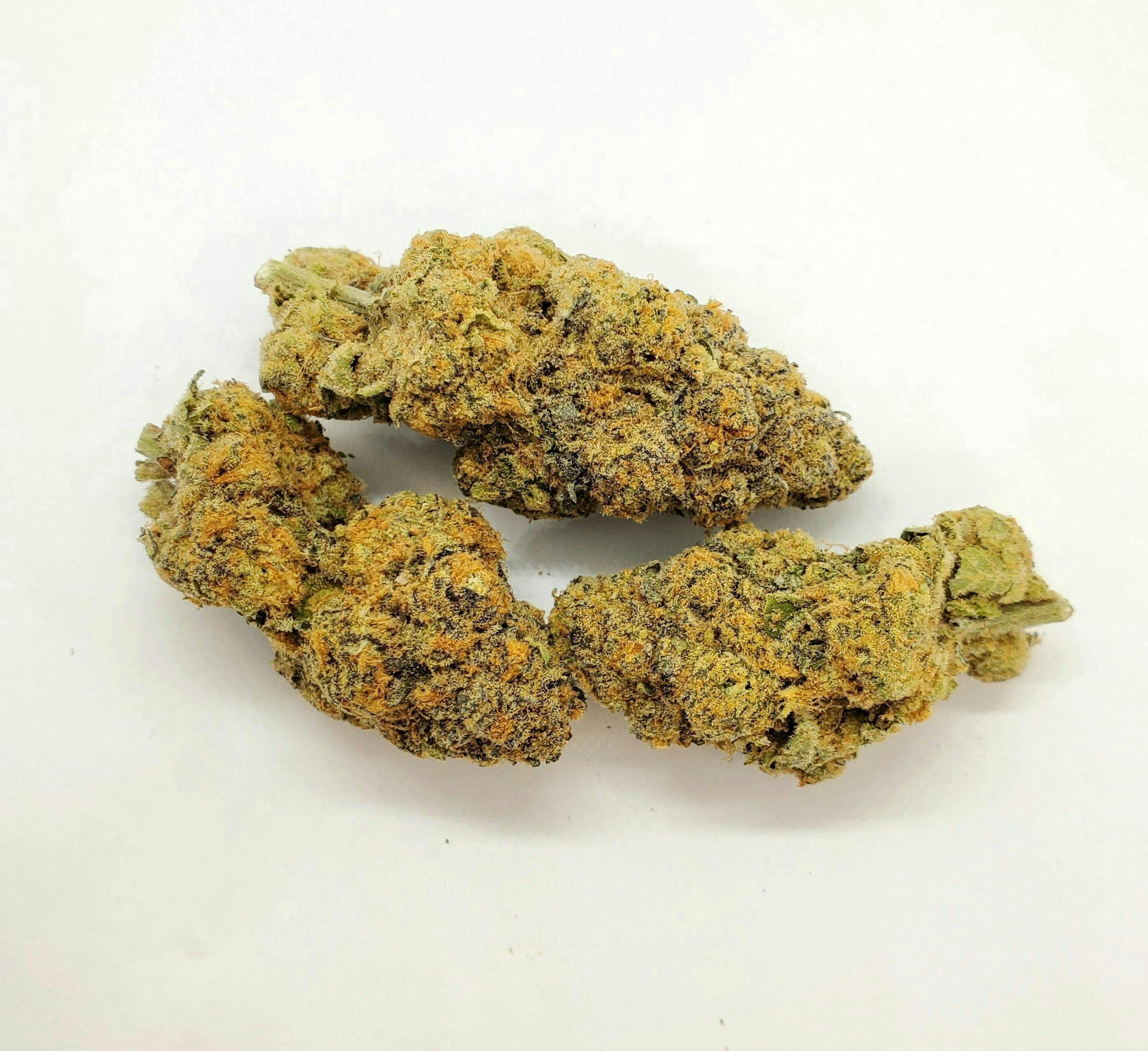 AREA 626 - Area 626 | Sundae Driver | Big Buds | 28g - 1