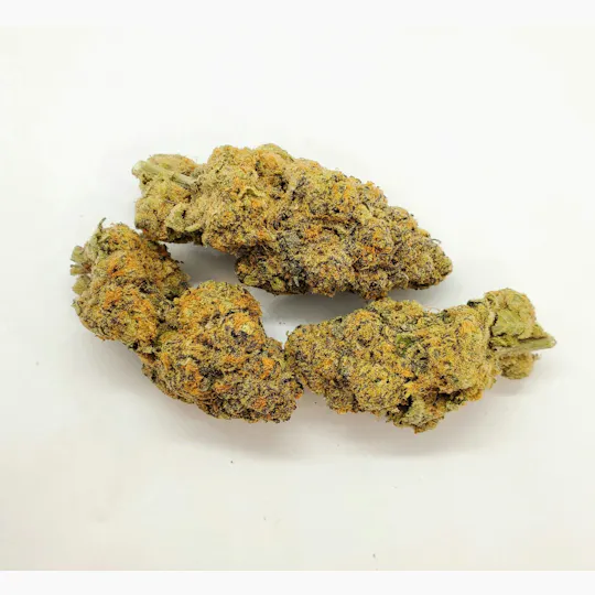 AREA 626 - Area 626 | Sundae Driver | Big Buds | 28g - 1