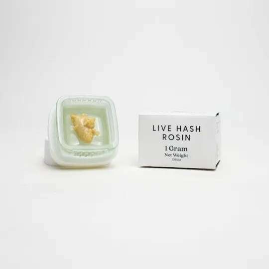 Pleasantrees - Live Hash Rosin | Magnetar Kush | 1g - 1