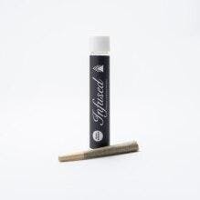 Pleasantrees - Melon Truffle | Rosin Infused Preroll | 1g - 1