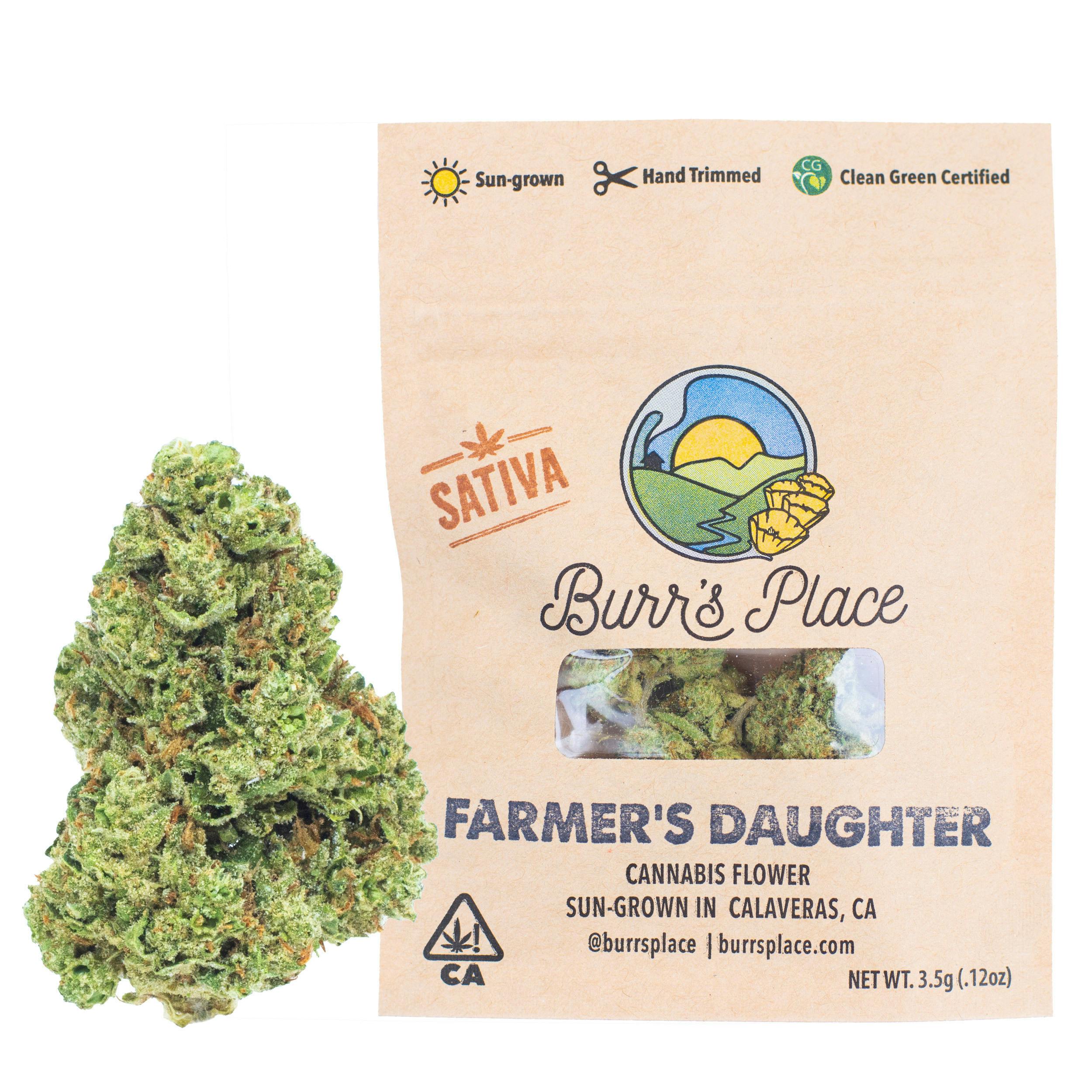 Burr's Place - Burr’s Place | Farmer’s Daughter | Big Buds | 3.5g - 1