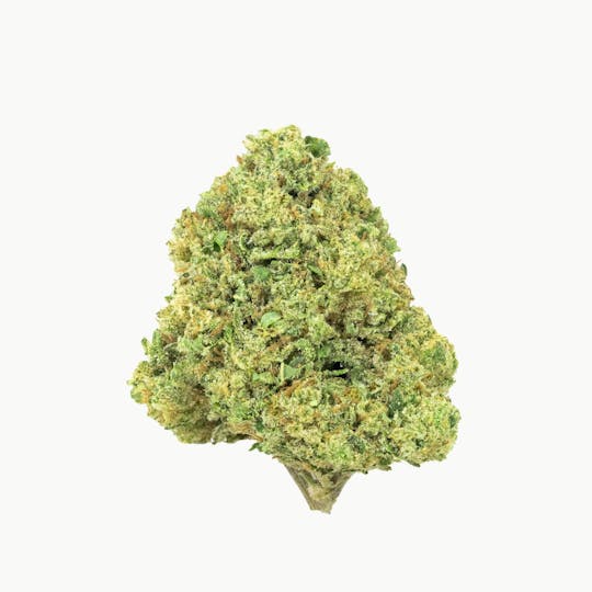 Burr's Place - Burr’s Place | Farmer’s Daughter - 7g Bag (Sativa) - 1