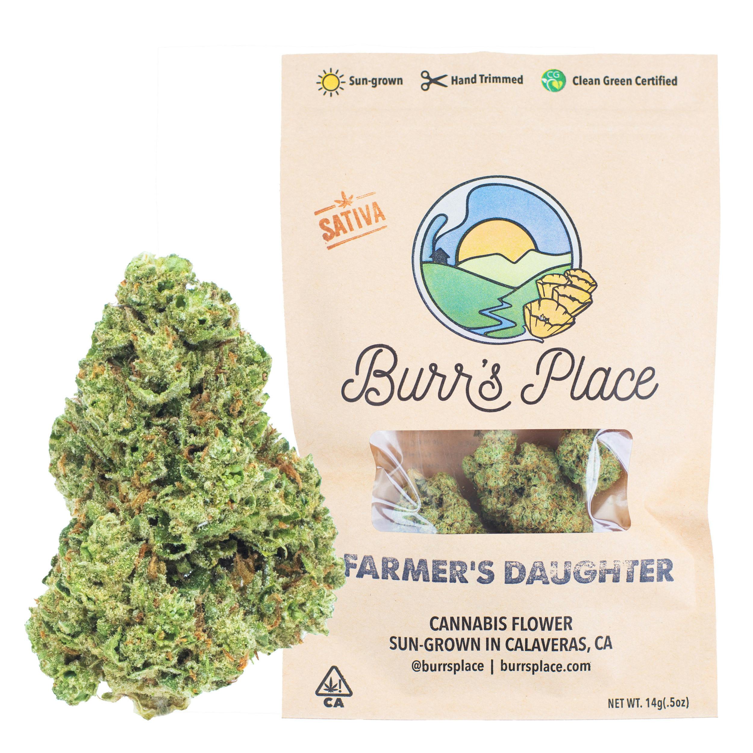 Burr's Place - Burr’s Place | Farmer’s Daughter | Big Buds | 14g - 1