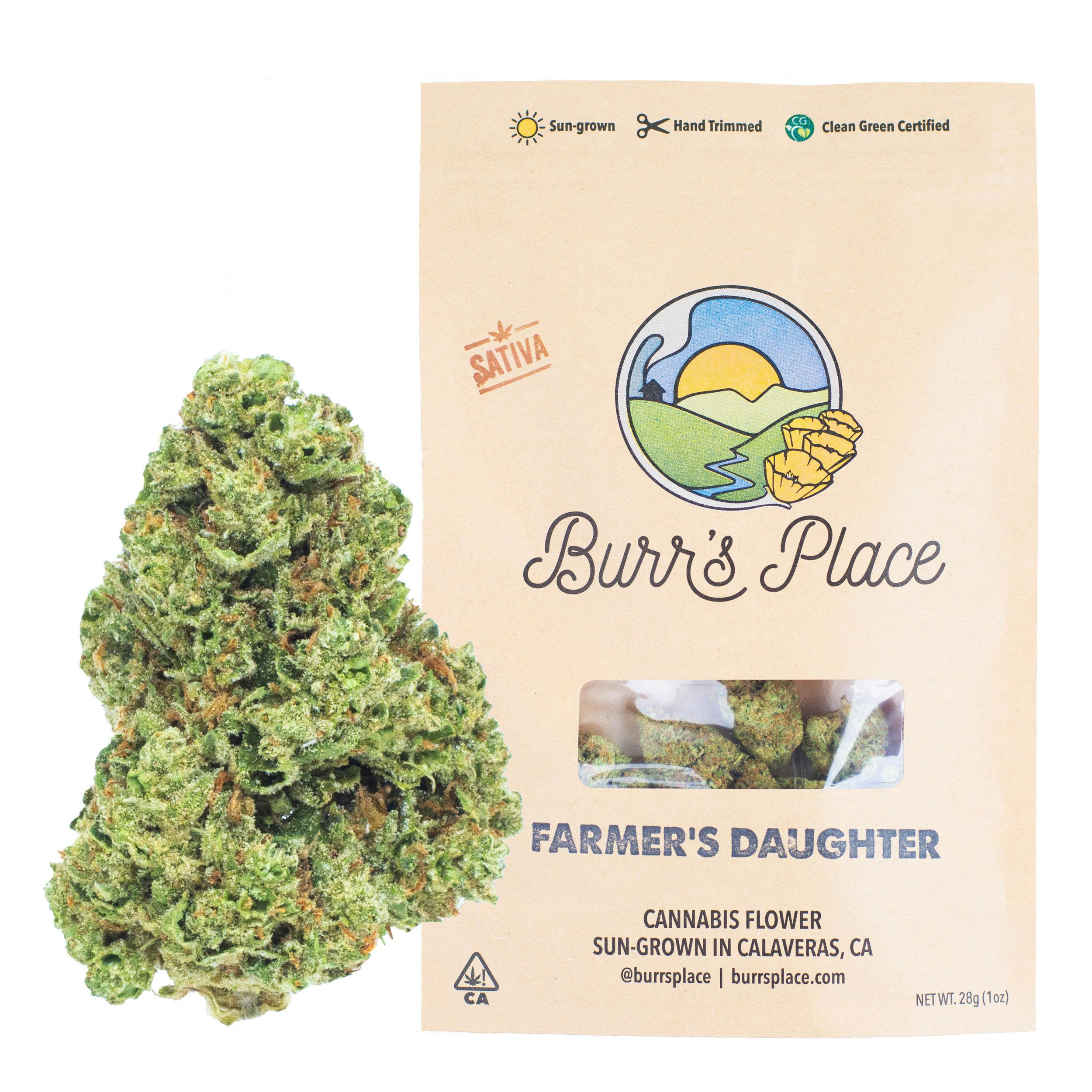 Burr's Place - Burr’s Place | Farmer’s Daughter | Big Buds | 28g - 1