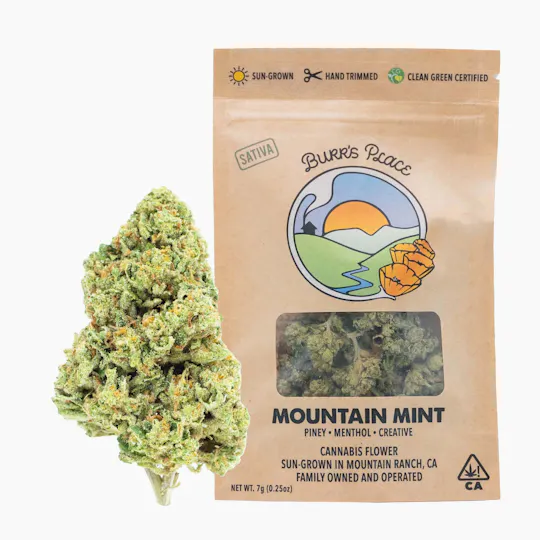 Burr's Place - Mountain Mint | Big Buds | 7g - 1