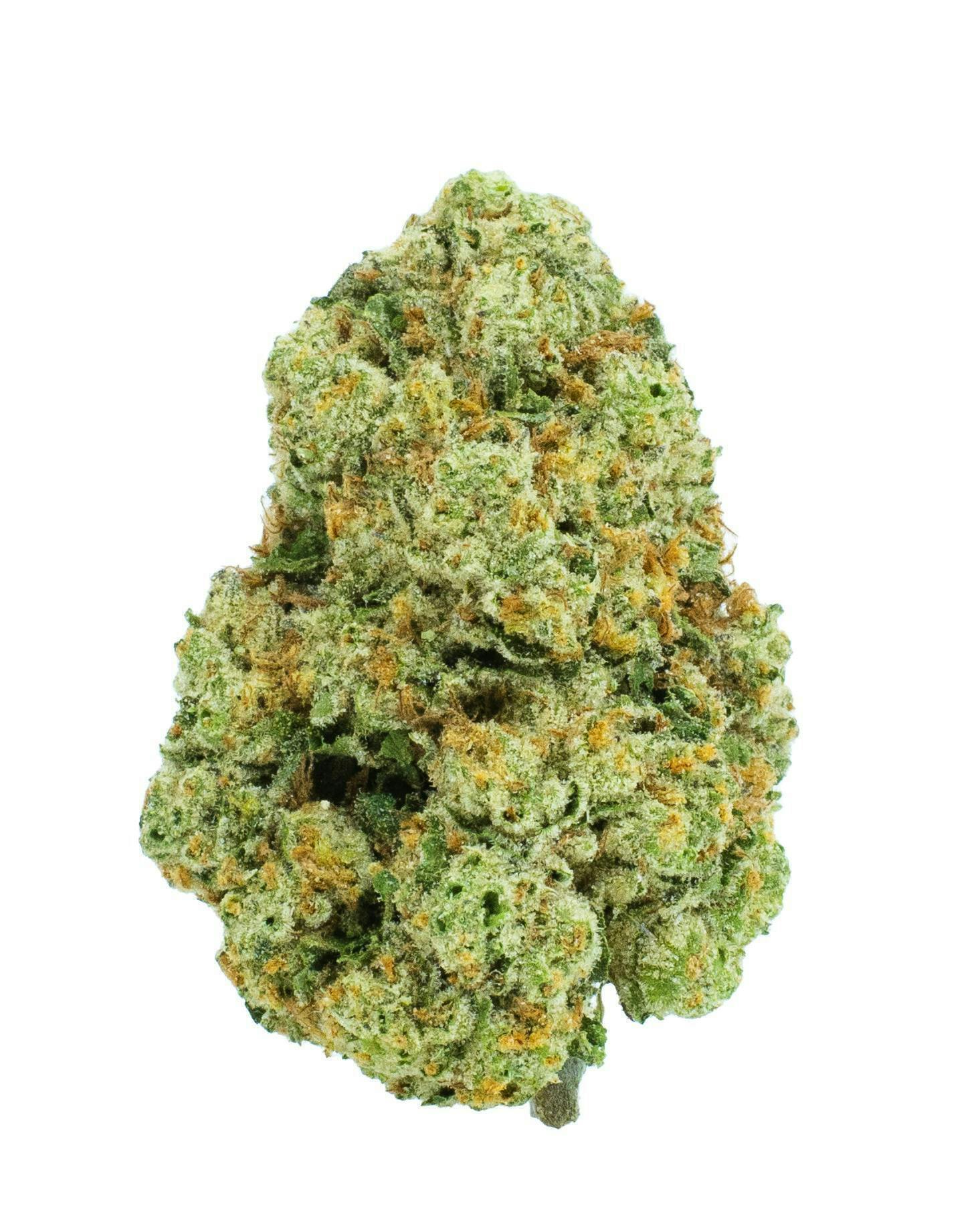 Burr's Place - Burr’s Place | Poddy Mouth #12 | Big Buds | 7g - 1