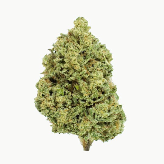 Burr's Place - Burr’s Place | Splash - 3.5g Bag (Hybrid) - 1
