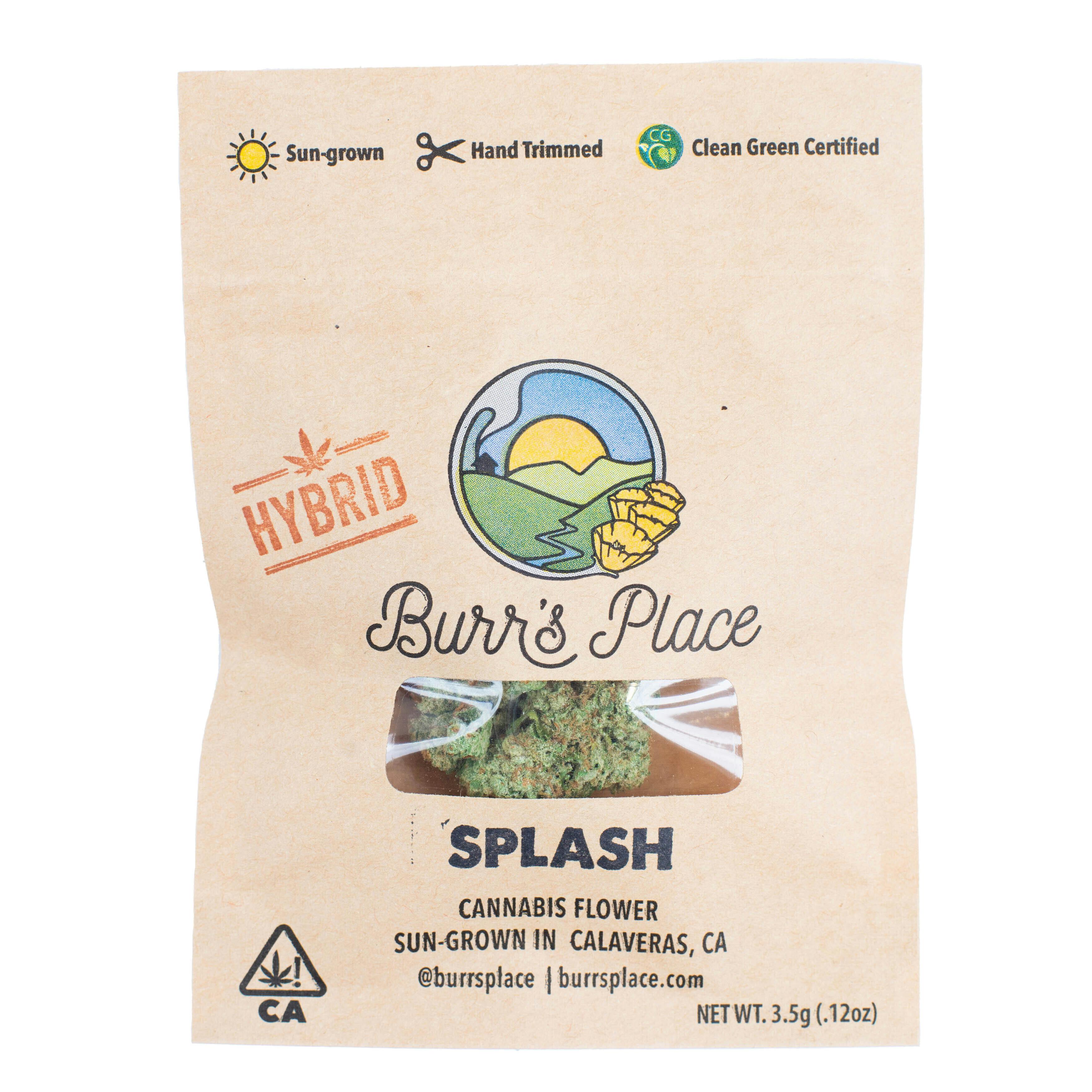 Burr's Place - Splash | Big Buds | 3.5g - 1