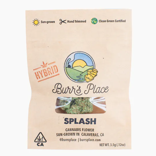 Burr's Place - Splash | Big Buds | 3.5g - 1