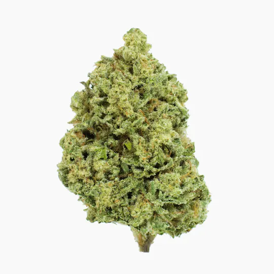 Burr's Place - Burr’s Place | Splash | Big Buds | 7g - 1