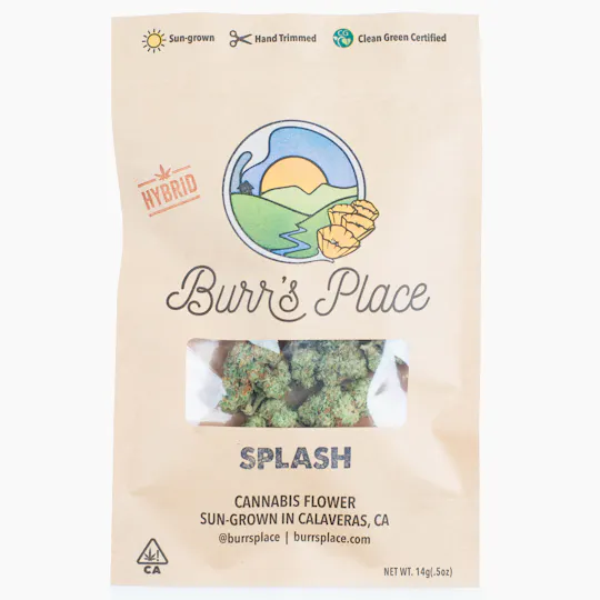 Burr's Place - Splash | Big Buds | 14g - 1